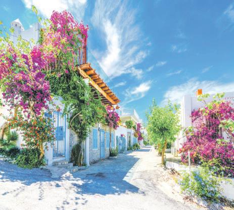 bir-balikci-koyunden-dunya-sahnesine-yalikavak-1787401446753.jpeg