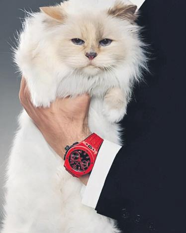 kediler-reklam-yildizi-olursa-1788016647392.jpeg
