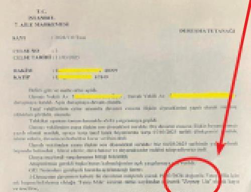 ucak-bileti-kafalari-karistirdi-1788302283273.jpeg
