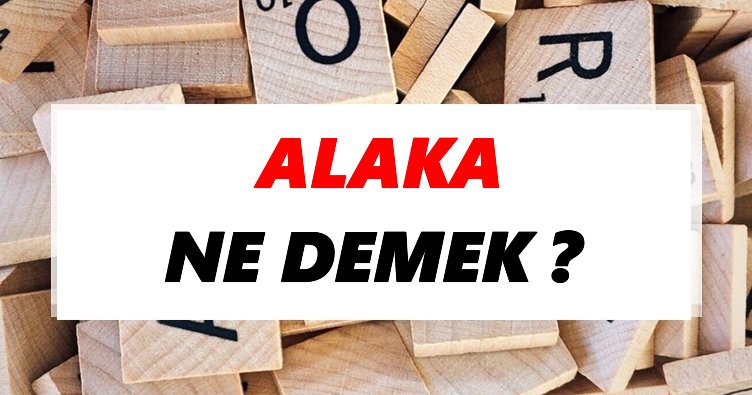 Alaka Ne Demek? TDK’ya Göre Alaka Sözlük Anlamı Nedir?