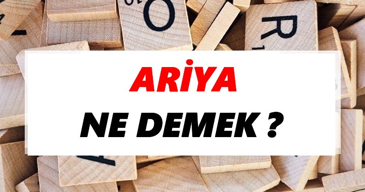 Ariya Ne Demek? TDK’ya Göre Ariya Sözlük Anlamı Nedir?