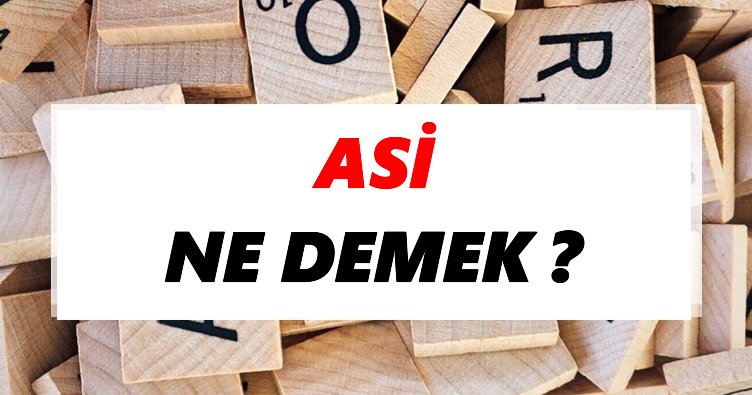 Asi Ne Demek? TDK’ya Göre Asi Sözlük Anlamı Nedir?