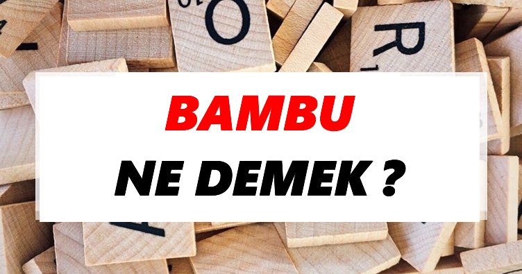 Bambu Ne Demek? TDK’ya Göre Bambu Sözlük Anlamı Nedir?