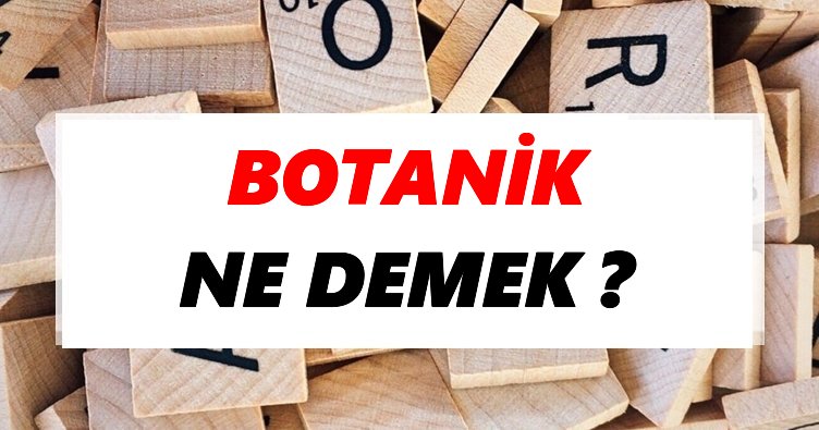 Botanik Ne Demek? TDK’ya Göre Botanik Sözlük Anlamı Nedir?