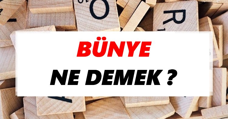 Bünye Ne Demek? TDK’ya Göre Bünye Sözlük Anlamı Nedir?