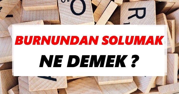 Burnundan solumak Ne Demek? TDK’ya Göre Burnundan solumak Sözlük Anlamı Nedir?