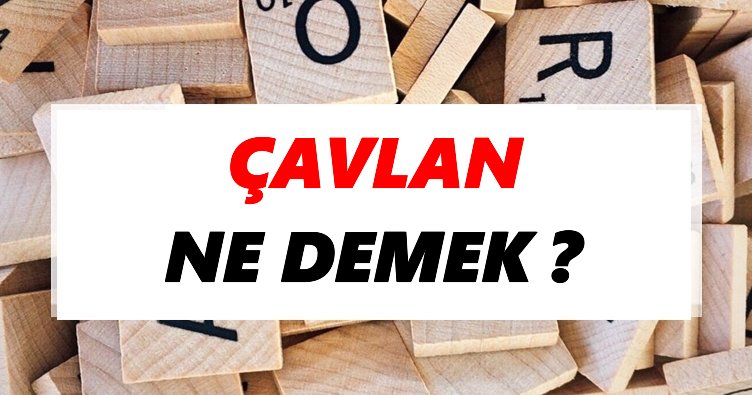 Çavlan Ne Demek? TDK’ya Göre Çavlan Sözlük Anlamı Nedir?