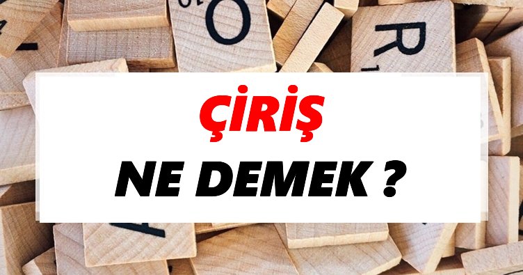 Çiriş Ne Demek? TDK’ya Göre Çiriş Sözlük Anlamı Nedir?