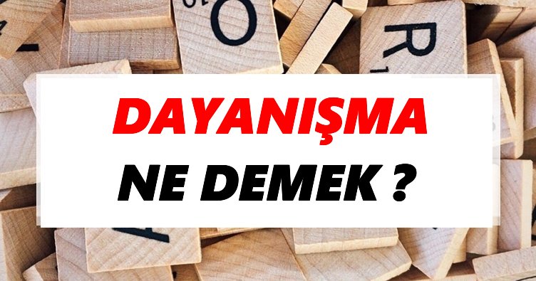 Dayanışma Ne Demek? TDK’ya Göre Dayanışma Sözlük Anlamı Nedir?