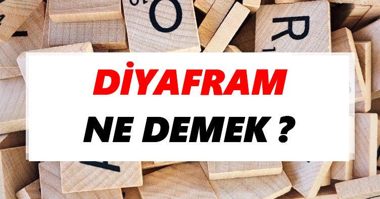 Diyafram Ne Demek? TDK’ya Göre Diyafram Sözlük Anlamı Nedir?