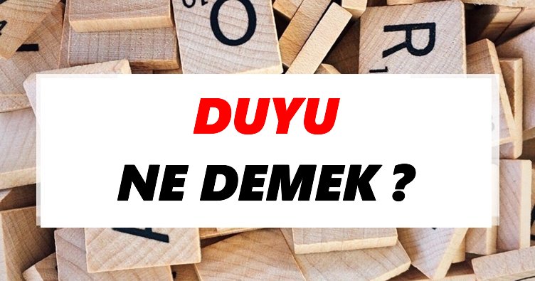 Duyu Ne Demek? TDK’ya Göre Duyu Sözlük Anlamı Nedir?