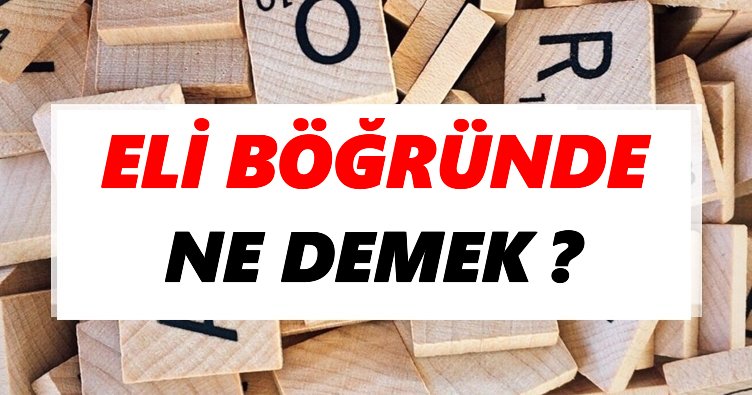 Eli böğründe Ne Demek? TDK’ya Göre Eli böğründe Sözlük Anlamı Nedir?