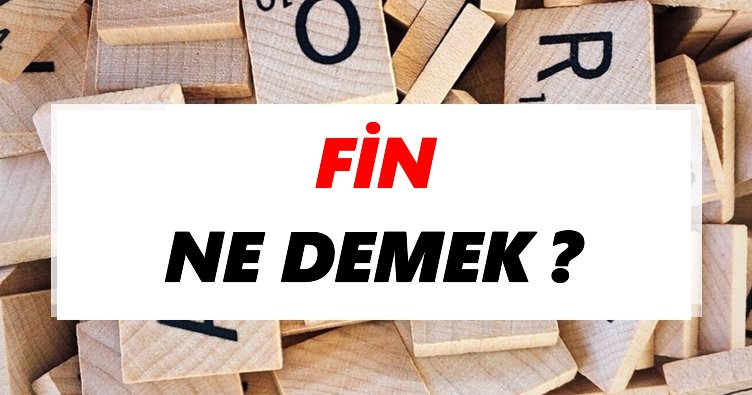 Fin Ne Demek? TDK’ya Göre Fin Sözlük Anlamı Nedir?