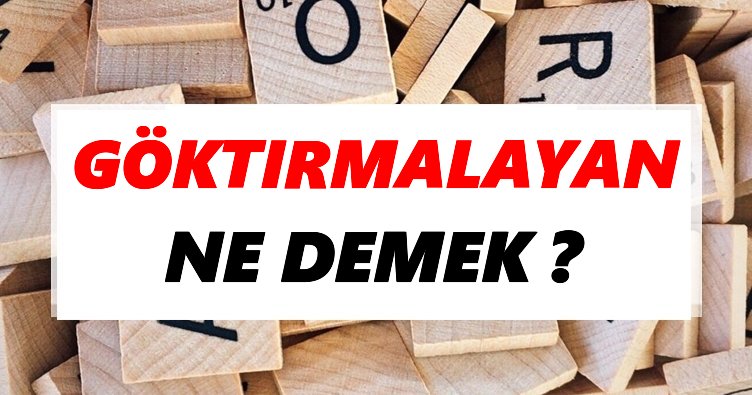 Göktırmalayan Ne Demek? TDK’ya Göre Göktırmalayan Sözlük Anlamı Nedir?