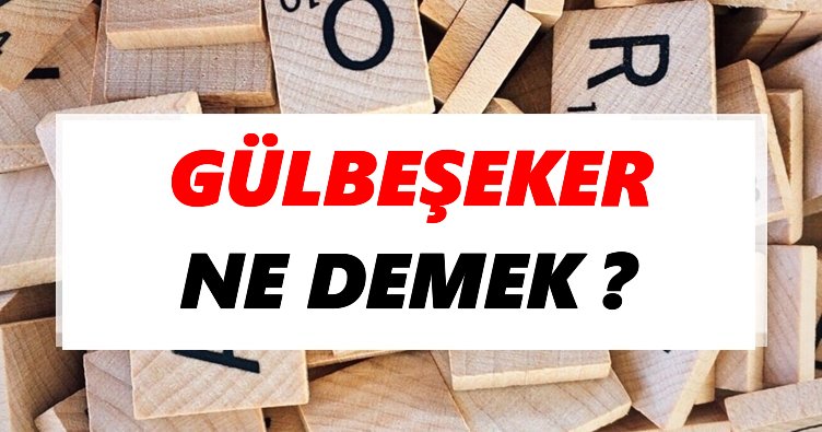 Gülbeşeker Ne Demek? TDK’ya Göre Gülbeşeker Sözlük Anlamı Nedir?