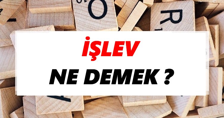 İşlev Ne Demek? TDK’ya Göre İşlev Sözlük Anlamı Nedir?