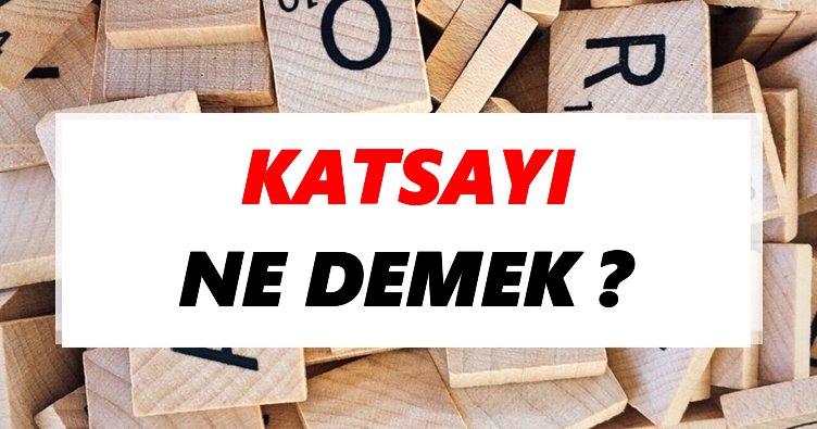 Katsayı Ne Demek? TDK’ya Göre Katsayı Sözlük Anlamı Nedir?
