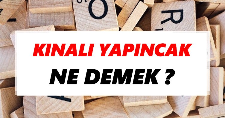 Kınalı yapıncak Ne Demek? TDK’ya Göre Kınalı yapıncak Sözlük Anlamı Nedir?