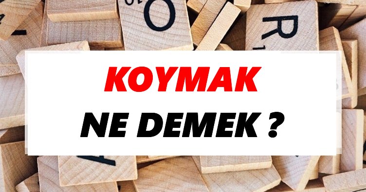 Koymak Ne Demek? TDK’ya Göre Koymak Sözlük Anlamı Nedir?