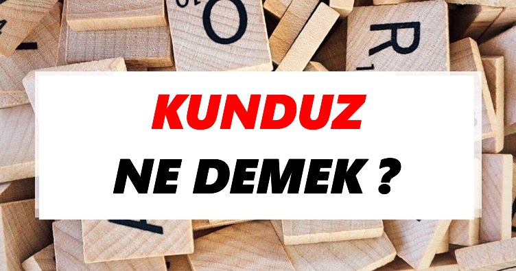 Kunduz Ne Demek? TDK’ya Göre Kunduz Sözlük Anlamı Nedir?