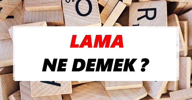 Lama Ne Demek? TDK’ya Göre Lama Sözlük Anlamı Nedir?