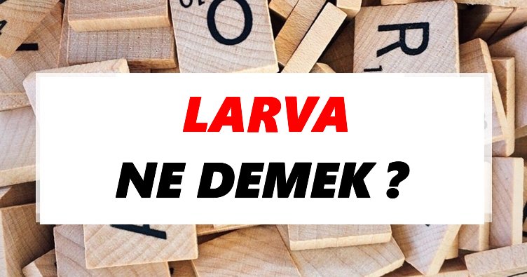 Larva Ne Demek Tdk Ya Gore Larva Sozluk Anlami Nedir Tdk Anlami Haberleri