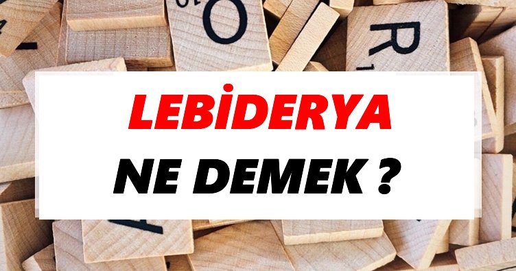 Lebiderya Ne Demek? TDK’ya Göre Lebiderya Sözlük Anlamı Nedir?