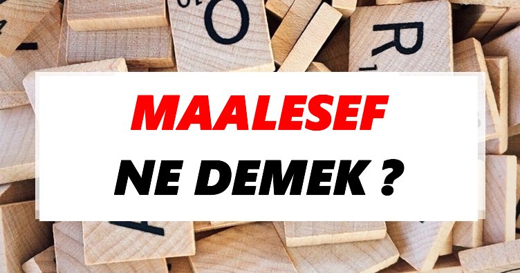 Maalesef Ne Demek? TDK’ya Göre Maalesef Sözlük Anlamı Nedir?