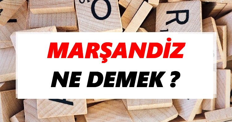 Marşandiz Ne Demek? TDK’ya Göre Marşandiz Sözlük Anlamı Nedir?