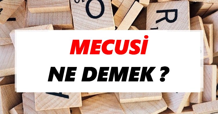 Mecusi kurucusu kimdir?