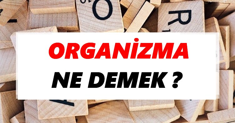 Organizma Ne Demek? TDK’ya Göre Organizma Sözlük Anlamı Nedir?