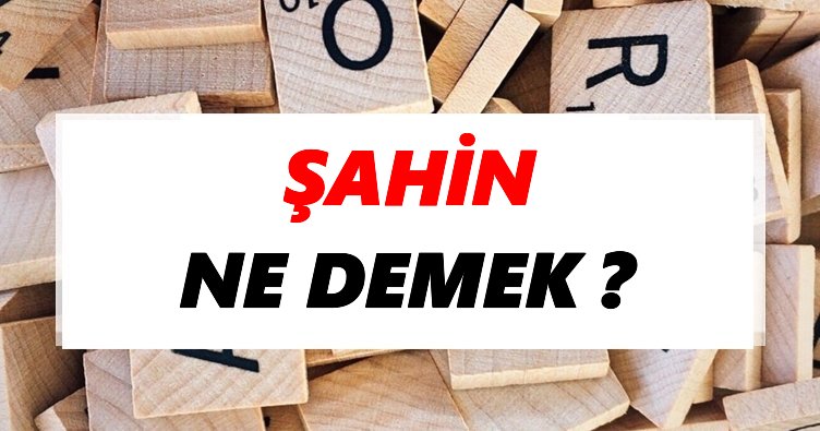 Şahin Ne Demek? TDK’ya Göre Şahin Sözlük Anlamı Nedir?