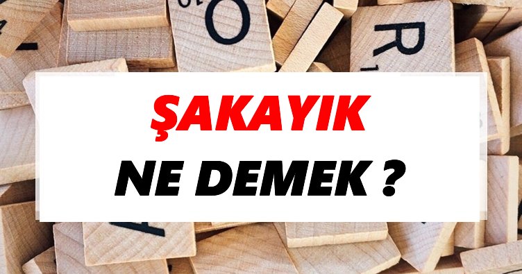 Şakayık Ne Demek? TDK’ya Göre Şakayık Sözlük Anlamı Nedir?
