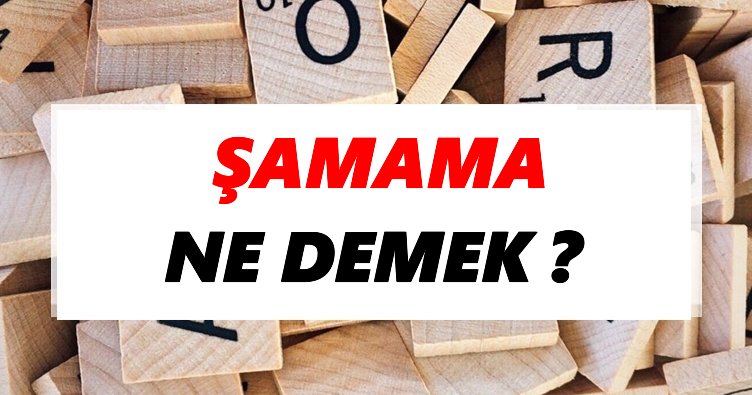 samama ne demek tdk ya gore samama sozluk anlami nedir tdk anlami haberleri