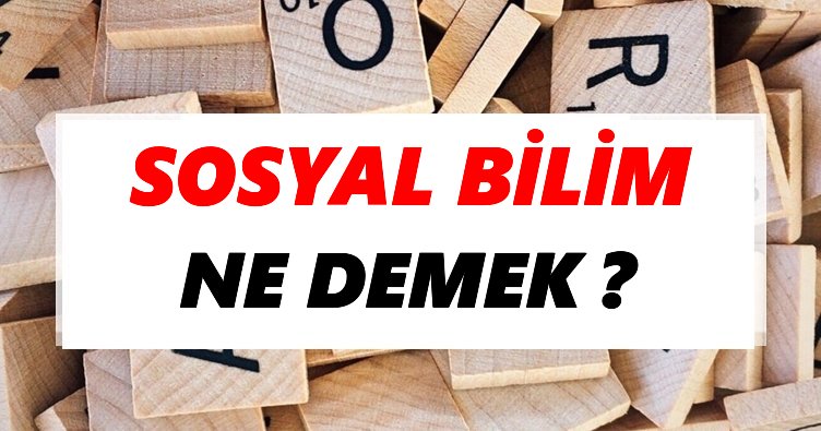 Sosyal bilim Ne Demek? TDK’ya Göre Sosyal bilim Sözlük Anlamı Nedir?