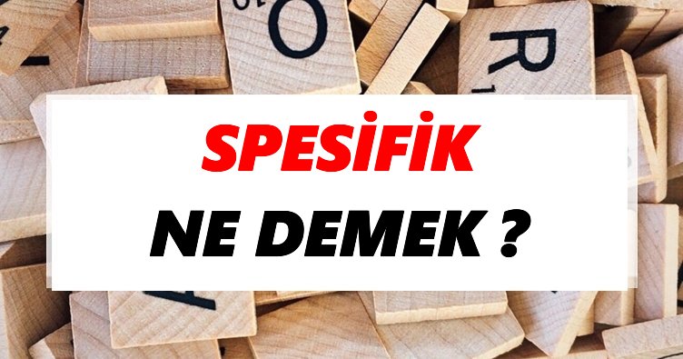 Spesifik Ne Demek? TDK’ya Göre Spesifik Sözlük Anlamı Nedir?