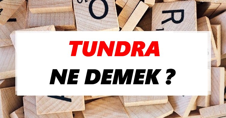 Tundra Ne Demek? TDK’ya Göre Tundra Sözlük Anlamı Nedir?