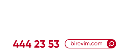 BiREViM