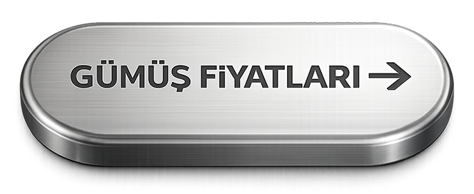 GÃ¼mÃ¼ÅŸ FiyatlarÄ±