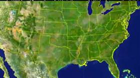 Kuşlar, kıyamet alameti mi?