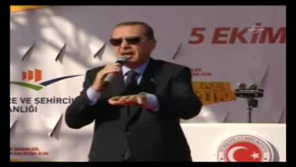 Başbakan Erdoğan'ın arıyla imtihanı!