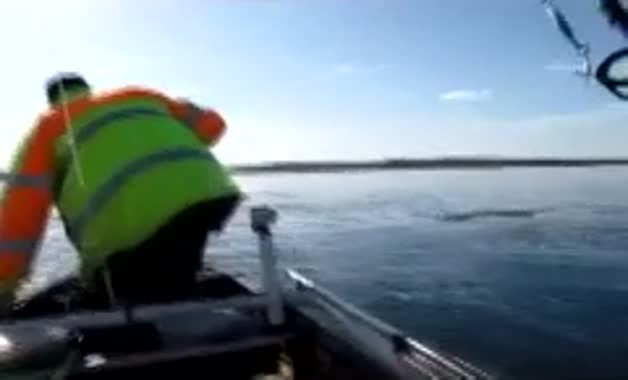 Dev balina ile korkutan temas