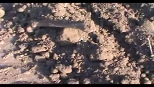 Van'da kazı yapılan arazide insan kemikleri bulundu