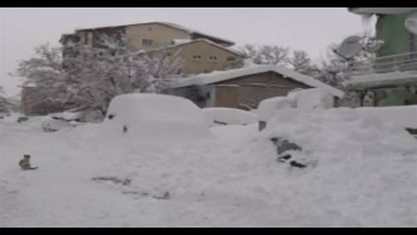 Bitlisliler evlerinin ikinci katına kar kütleleri üzerinde yürüyerek çıkıyor!