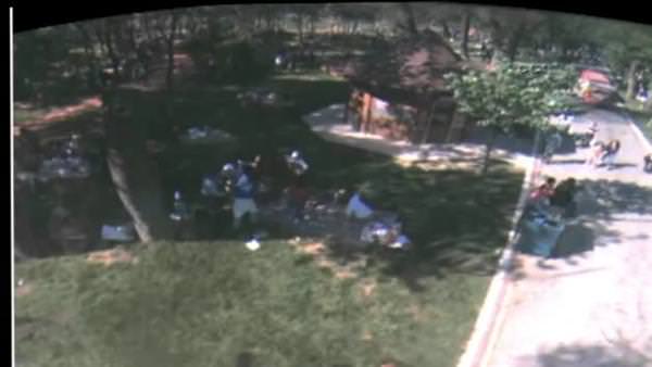 Piknikte ağaç dehşeti kamerada