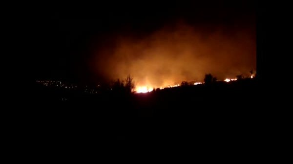 Urla'da orman yangını.. Yangın yerleşim alanlarını tehdit ediyor
