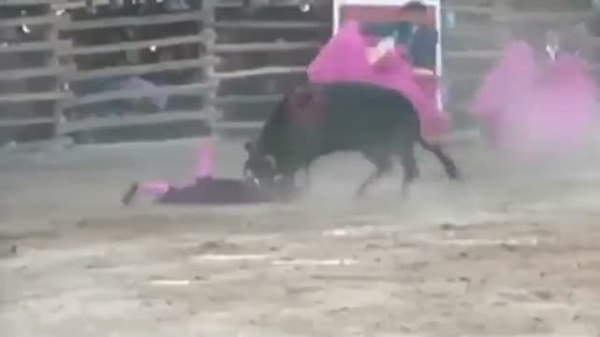 Kadın matadorun zor anları