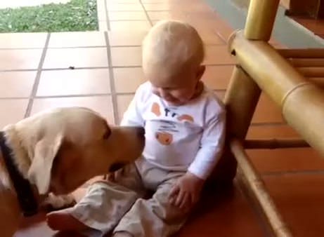 Köpekle bebeğin dostluğu