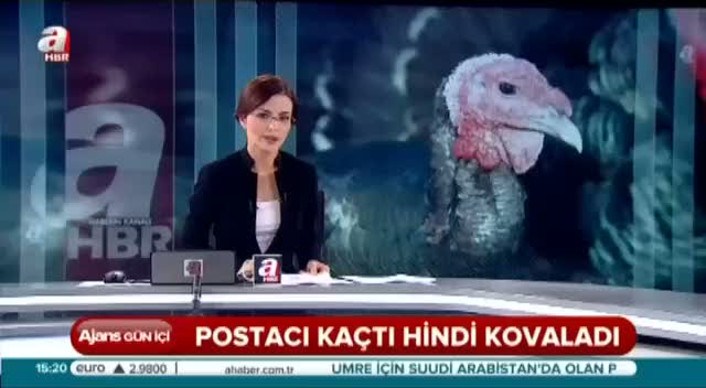 Hindi postacıyı kovaladı