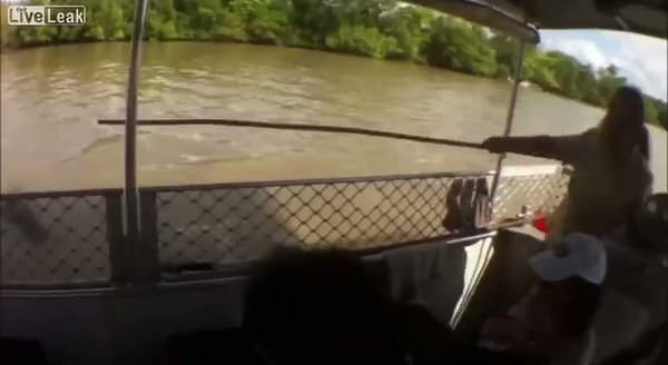 Tekne gezintisinde timsah paniği